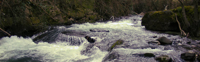 El río Negro