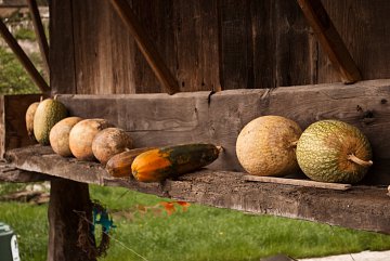 Frutos de la huerta